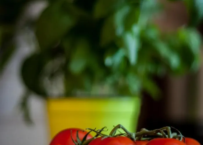 Haus Madeleine Neustift im Stubaital